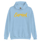 EARNED Script Hoodie - Light Blue